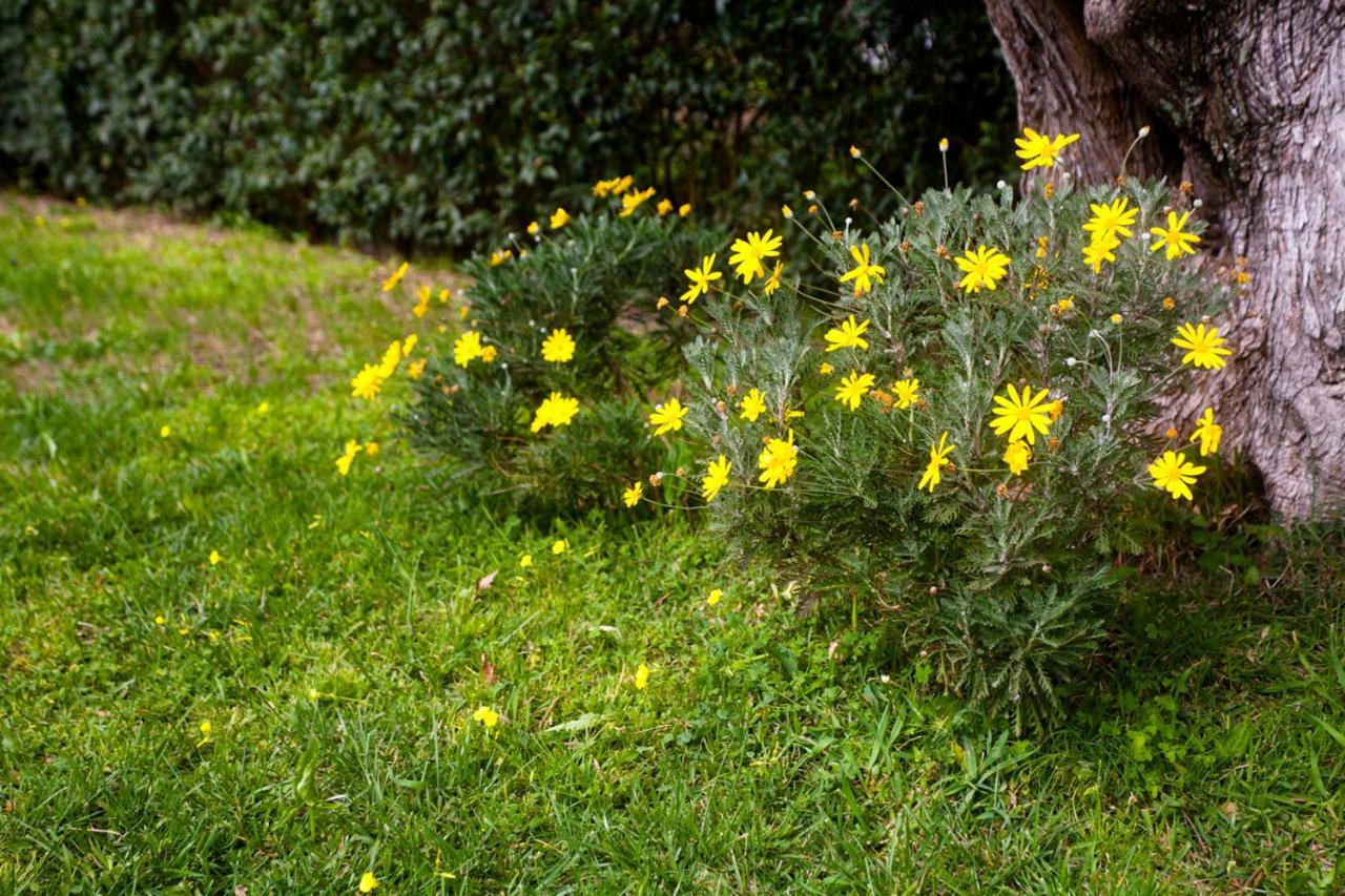 La Casa Di Caterina: Nature,Relax And Private Garden Lefkáda Buitenkant foto