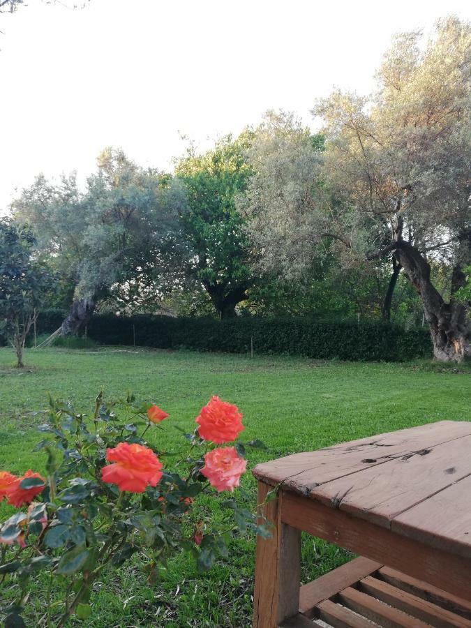 La Casa Di Caterina: Nature,Relax And Private Garden Lefkáda Buitenkant foto